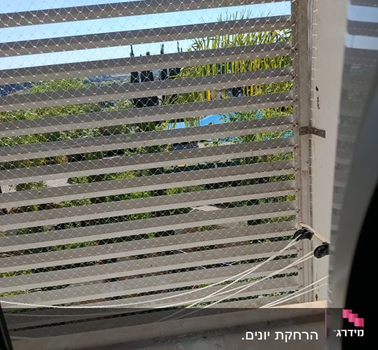 רשת יונים מותקנת על חלון למניעת כניסת יונים